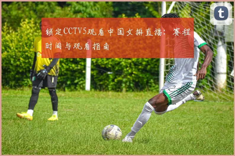 锁定CCTV5观看中国女排直播：赛程时间与观看指南
