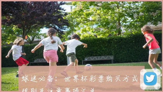 球迷必备：世界杯彩票购买方式、规则及注意事项汇总