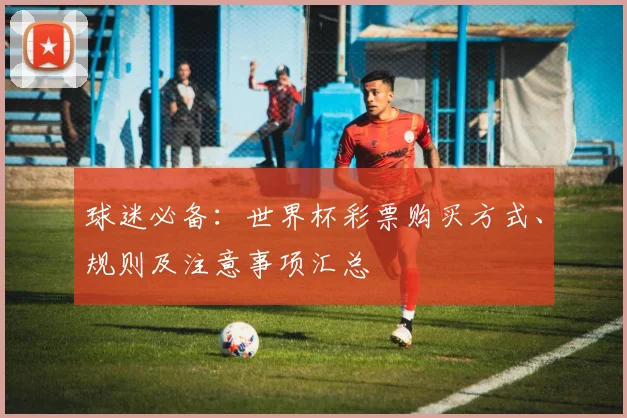球迷必备：世界杯彩票购买方式、规则及注意事项汇总