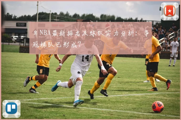 年NBA最新排名及球队实力分析：争冠梯队已形成？