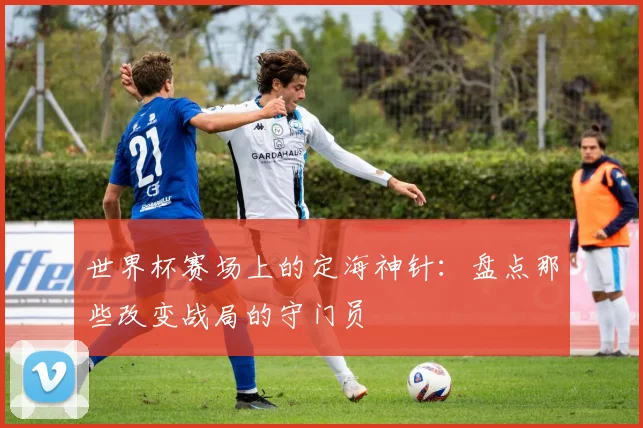 世界杯赛场上的定海神针:盘点那些改变战局的守门员