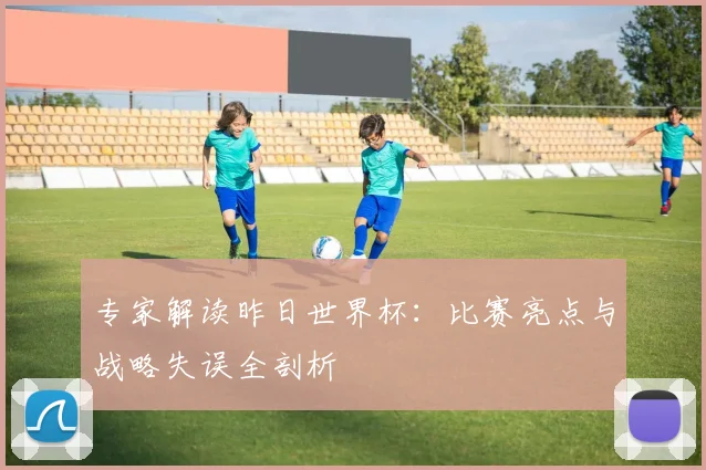 专家解读昨日世界杯:比赛亮点与战略失误全剖析